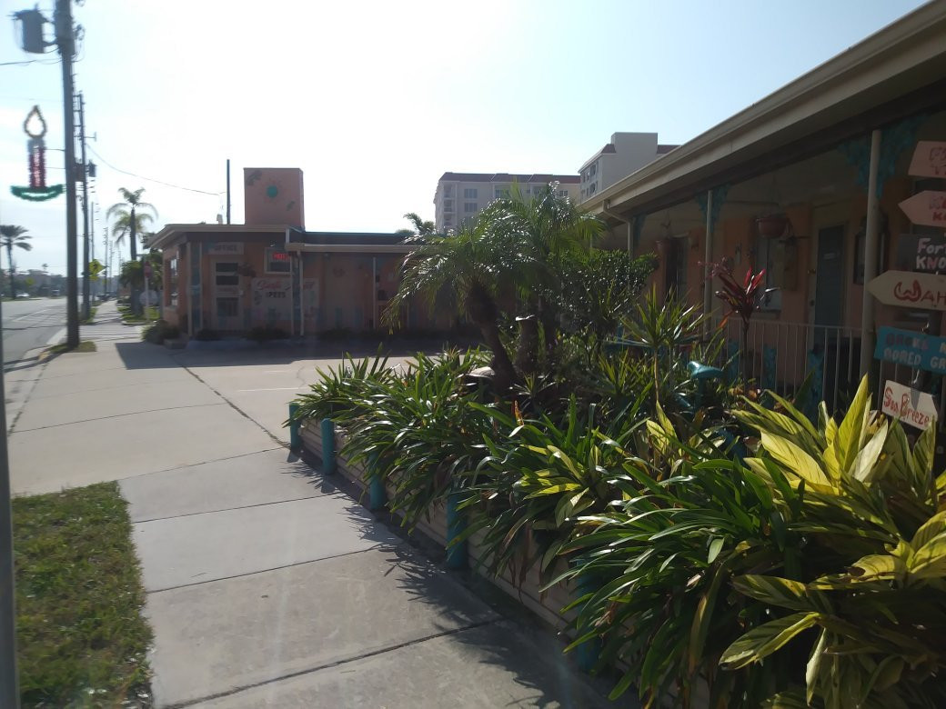 Siesta Motel