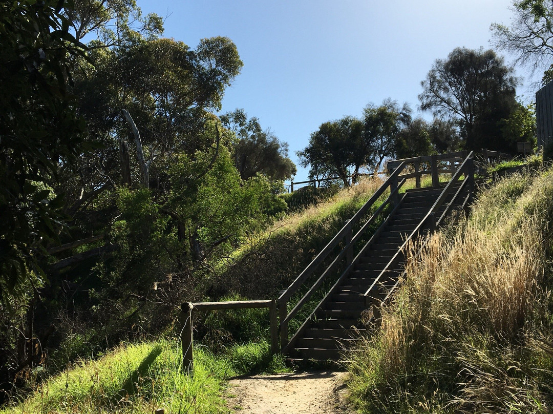 Lower Sweetwater Creek Reserve景点图片