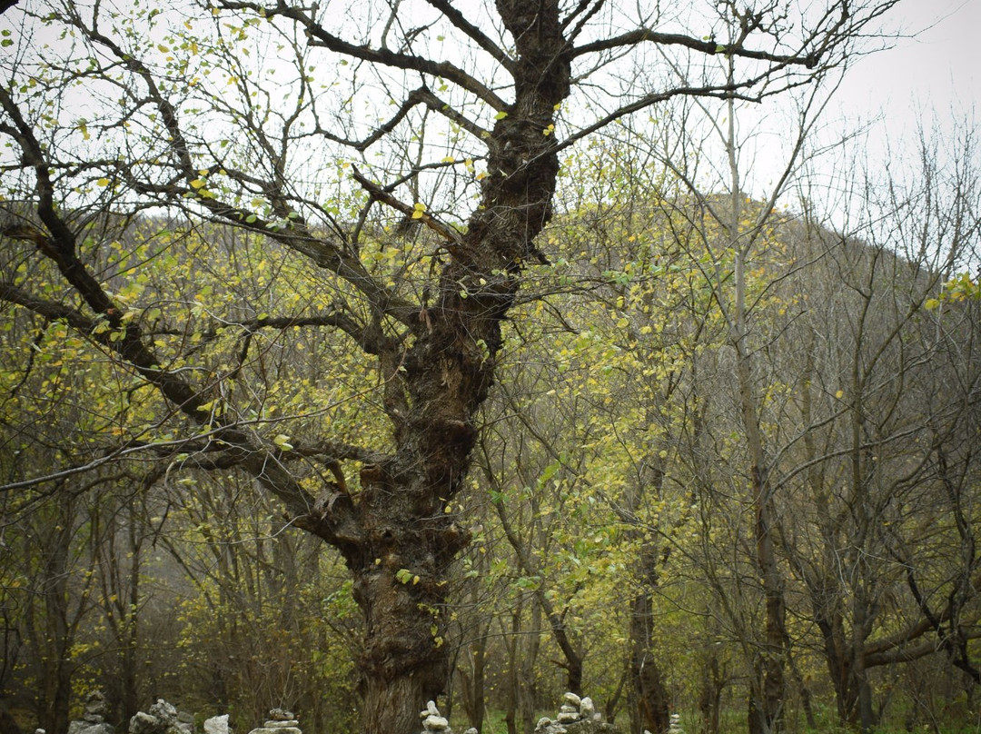 Rocky Monastery of Tipova-Tipova必去景点