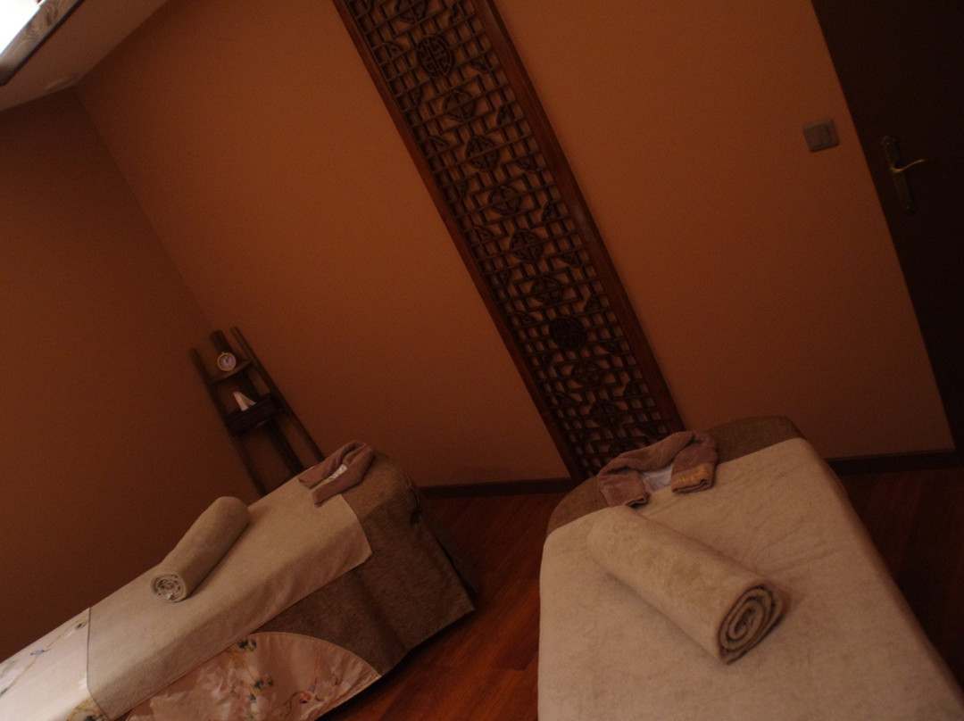 Espace Tui Na-里昂必去景点