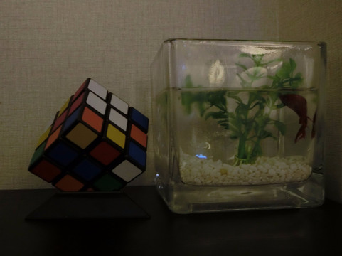 深圳桔子酒店精选深圳罗湖主图