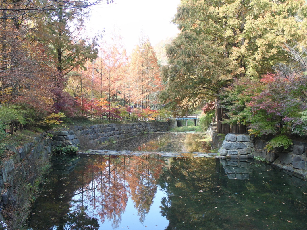 Jangtaesan Natural Forest-大田必去景点