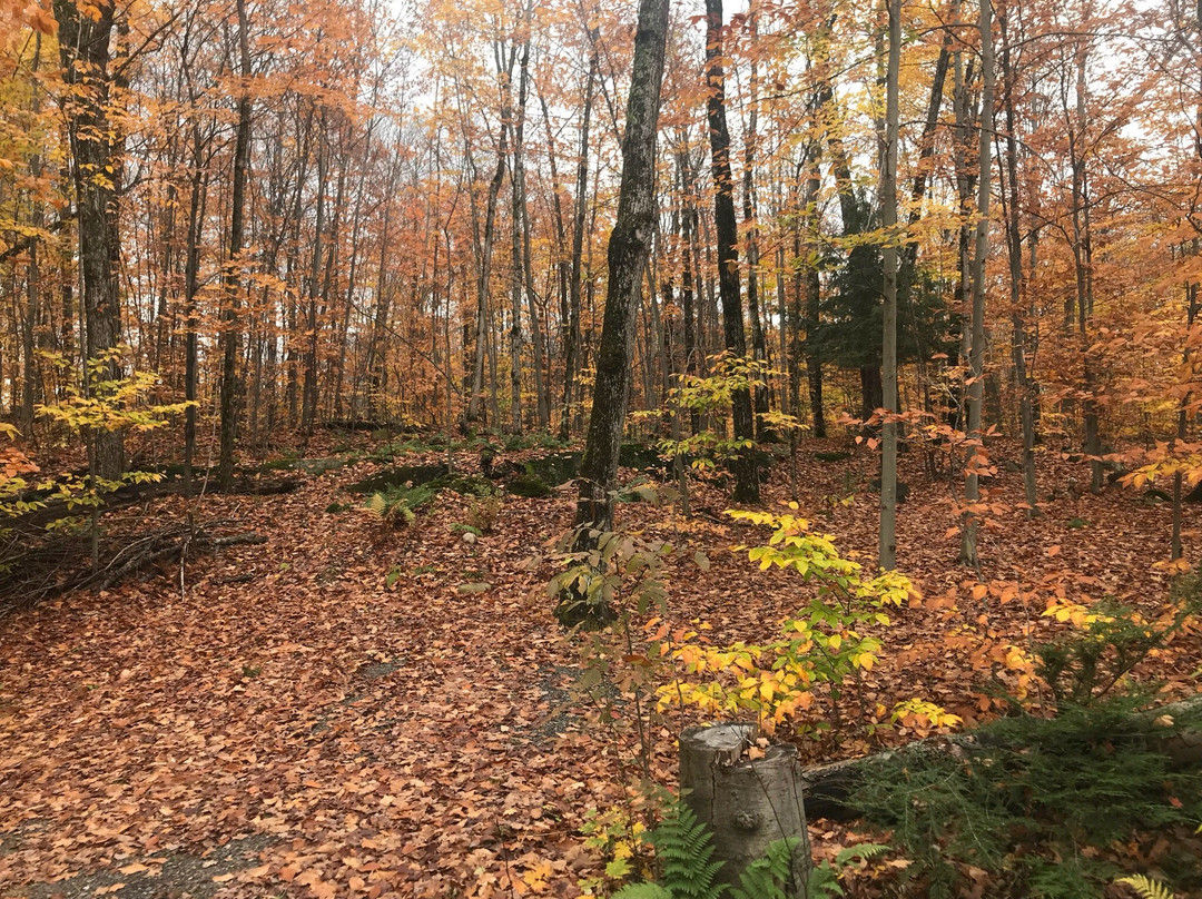 Muskoka Lakes Museum景点图片