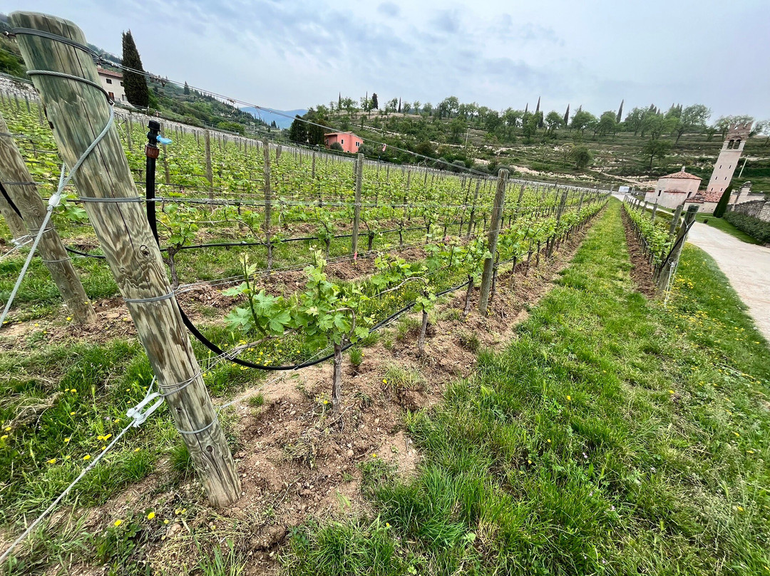 Residenza Le Coste