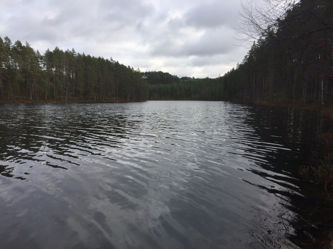 Hiukka-Sotkamo必去景点