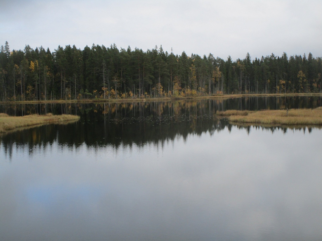 Grössjön Nature Reserve-于默奥必去景点