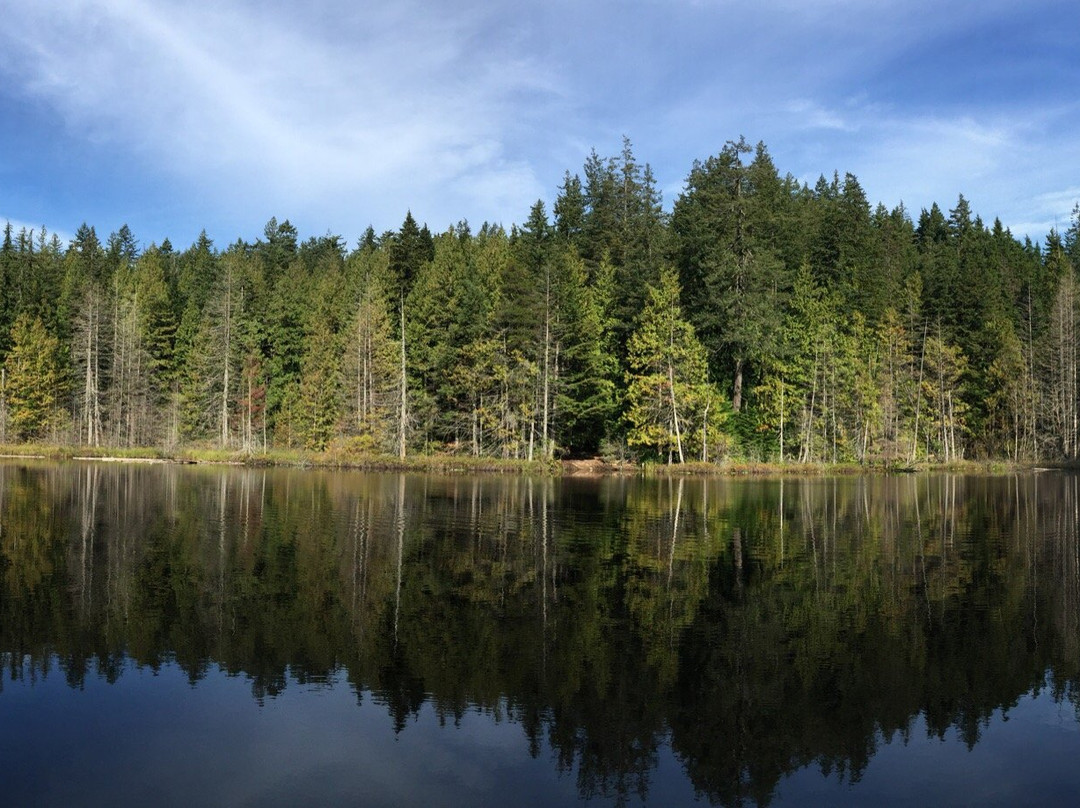 Whyte Lake Trail景点图片