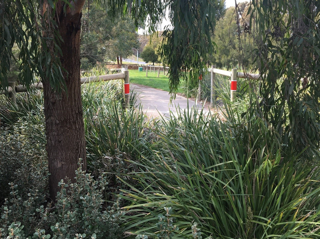 Botanic Ridge Wetlands-Cranbourne必去景点