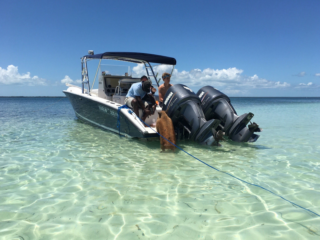 Froggies Out Island Adventures景点图片