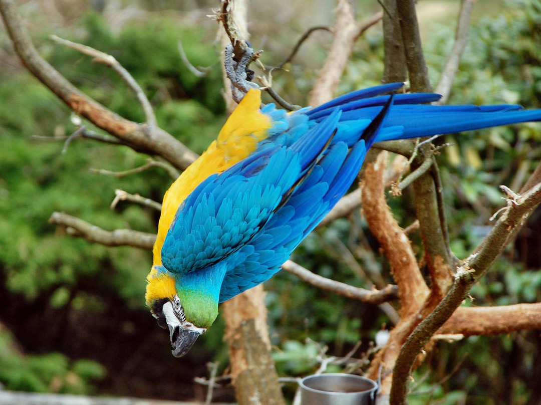 Tierpark Herborn-Herborn必去景点