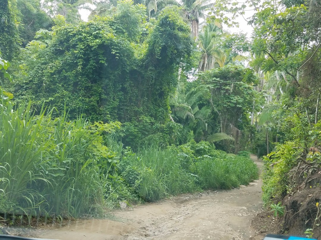 Playa los Muertos-利他必去景点