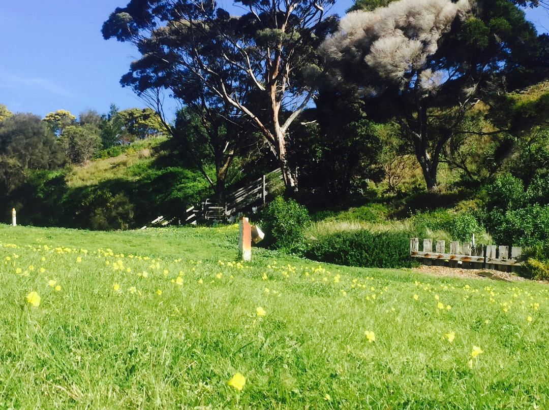 The Dell Picnic Area