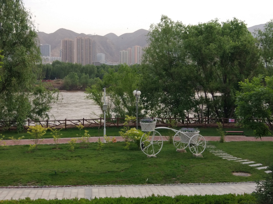 滨河路绿色长廊景点图片