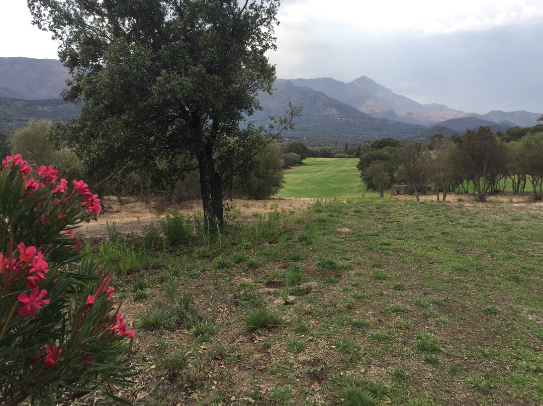 Golf Club Du Reginu-Speloncato必去景点
