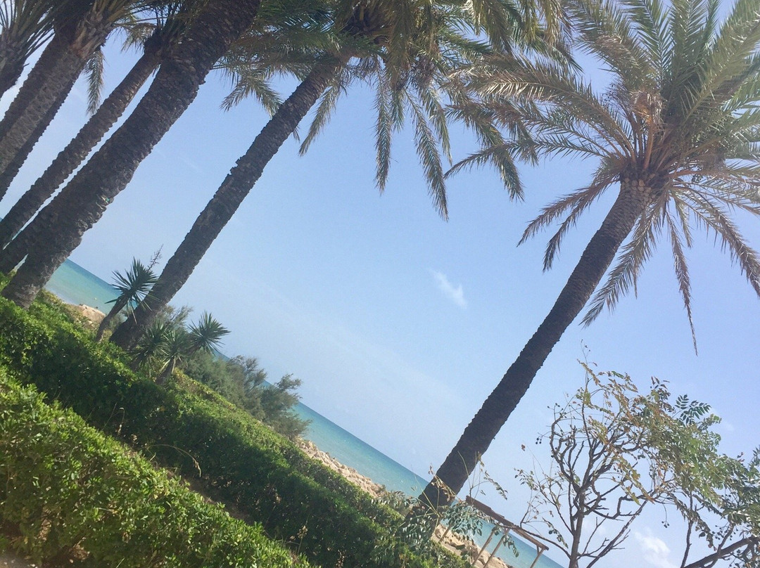 Playa del Quartell Vell景点图片