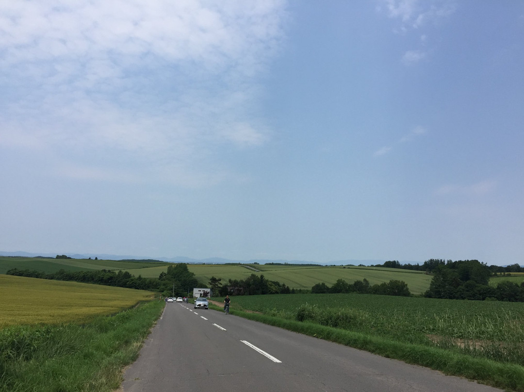 美瑛超广角之路景观道-美瑛町必去景点