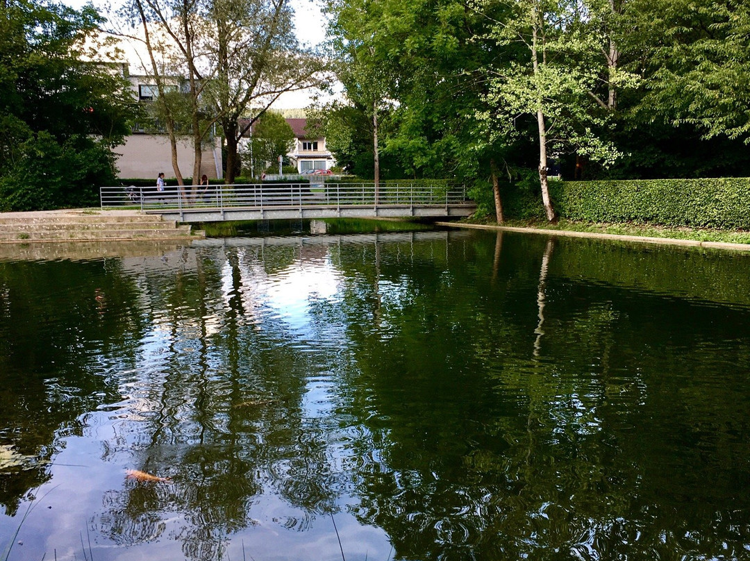 Bad Zurzach Tourismus景点图片