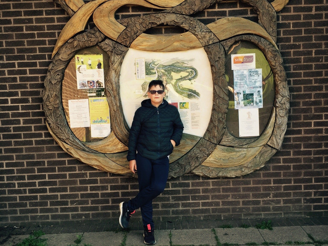 Plessey Woods Art Trail-Bedlington必去景点