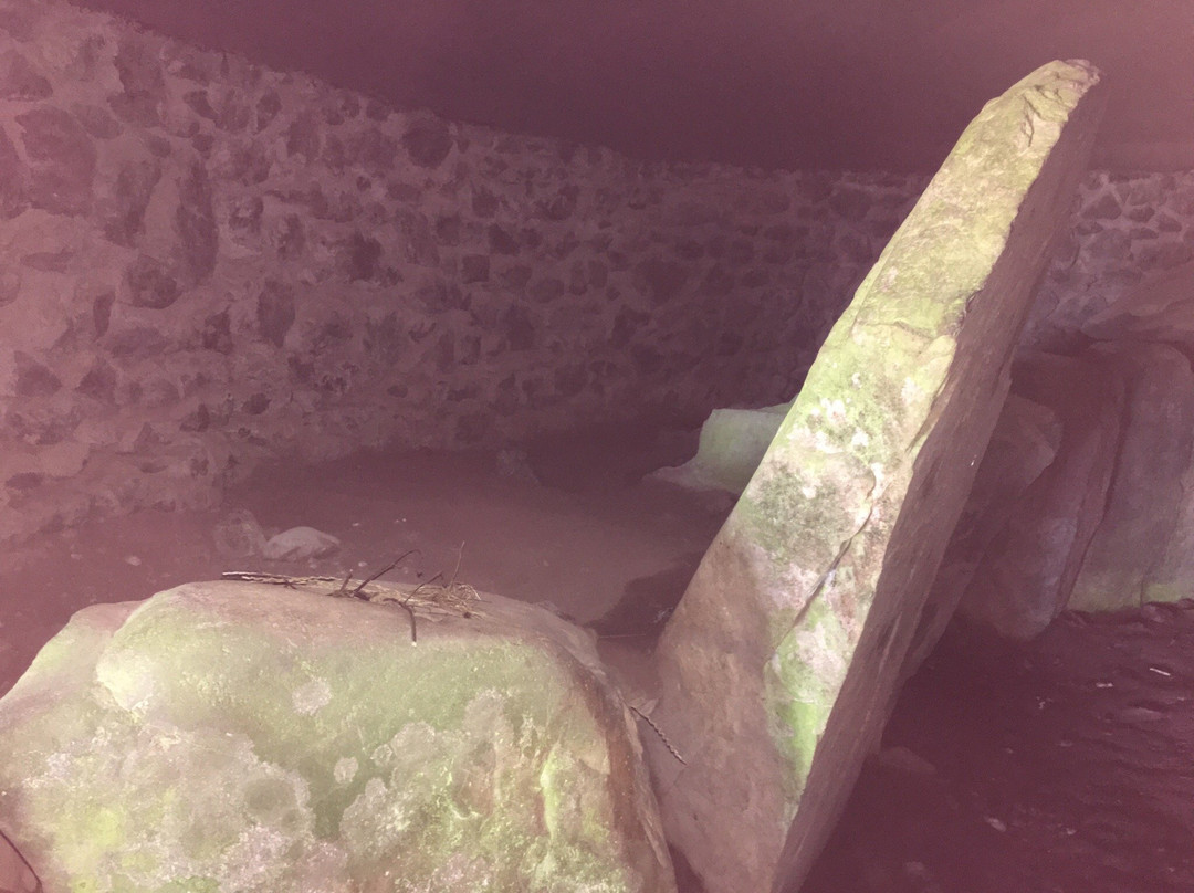 Barclodiad Y Gawres Chambered Tomb-Llanfaelog必去景点