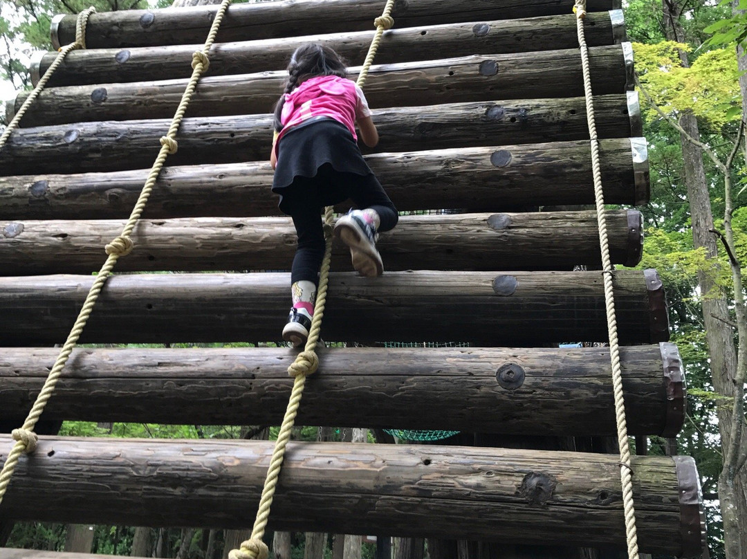 Arinomi Course-市川市必去景点