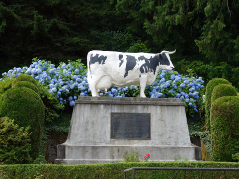 Carnation Farms-Carnation必去景点