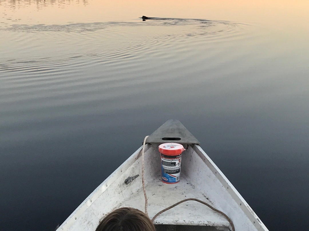 Réserve Faunique de Port-Daniel-Port-Daniel必去景点