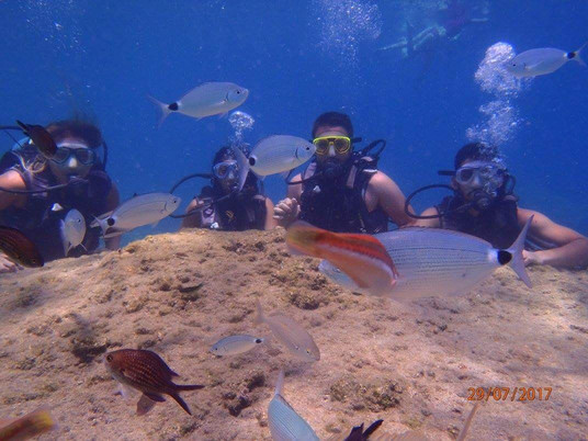 Trident Diving School