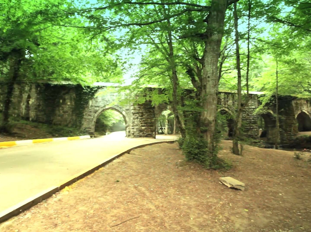 Ayvatbendi Tabiat Parki-伊斯坦布尔必去景点