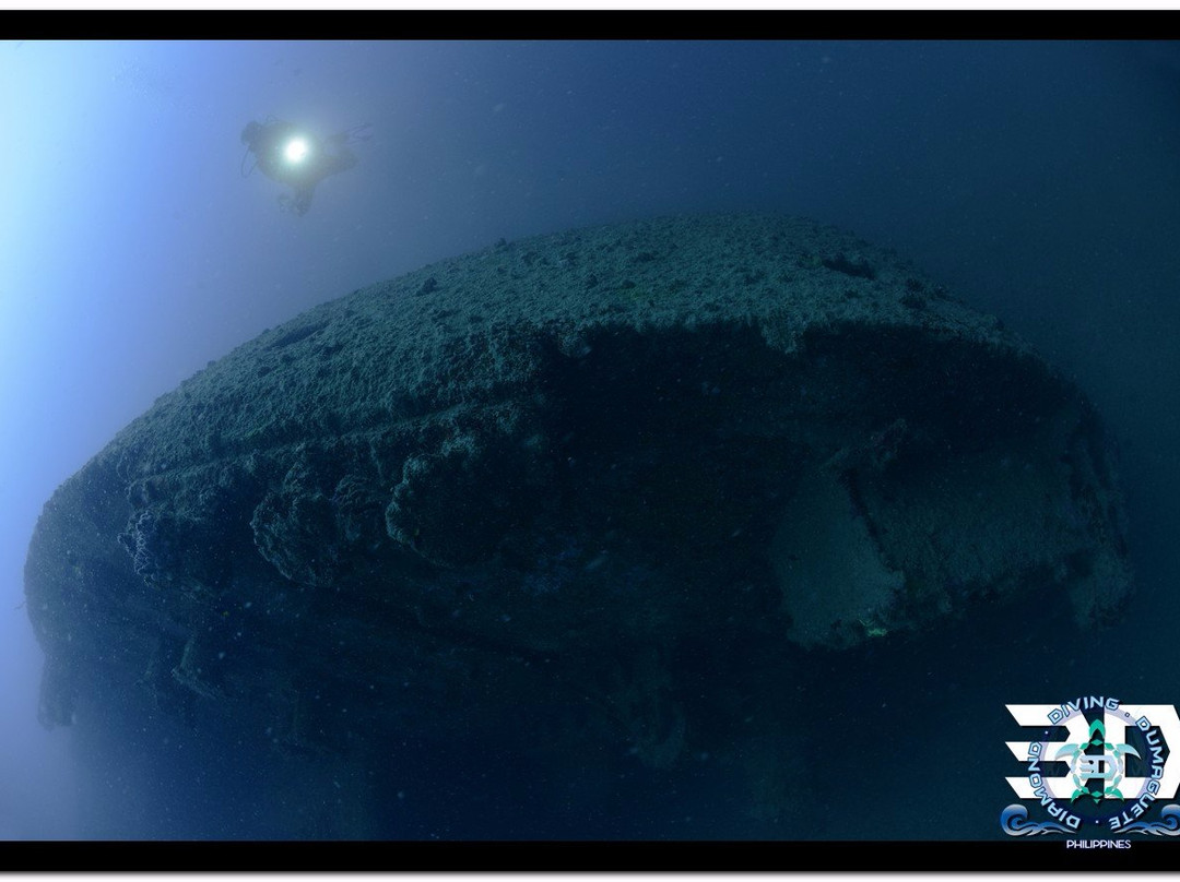 3D Diving Sipalay景点图片