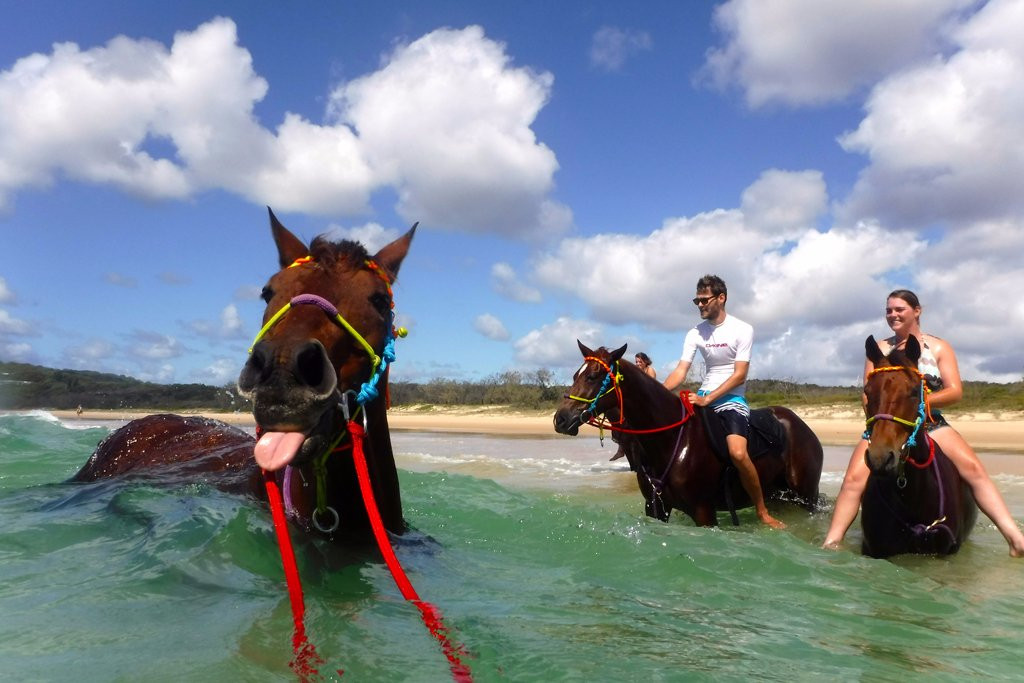 Rainbow Beach Horse Rides景点图片