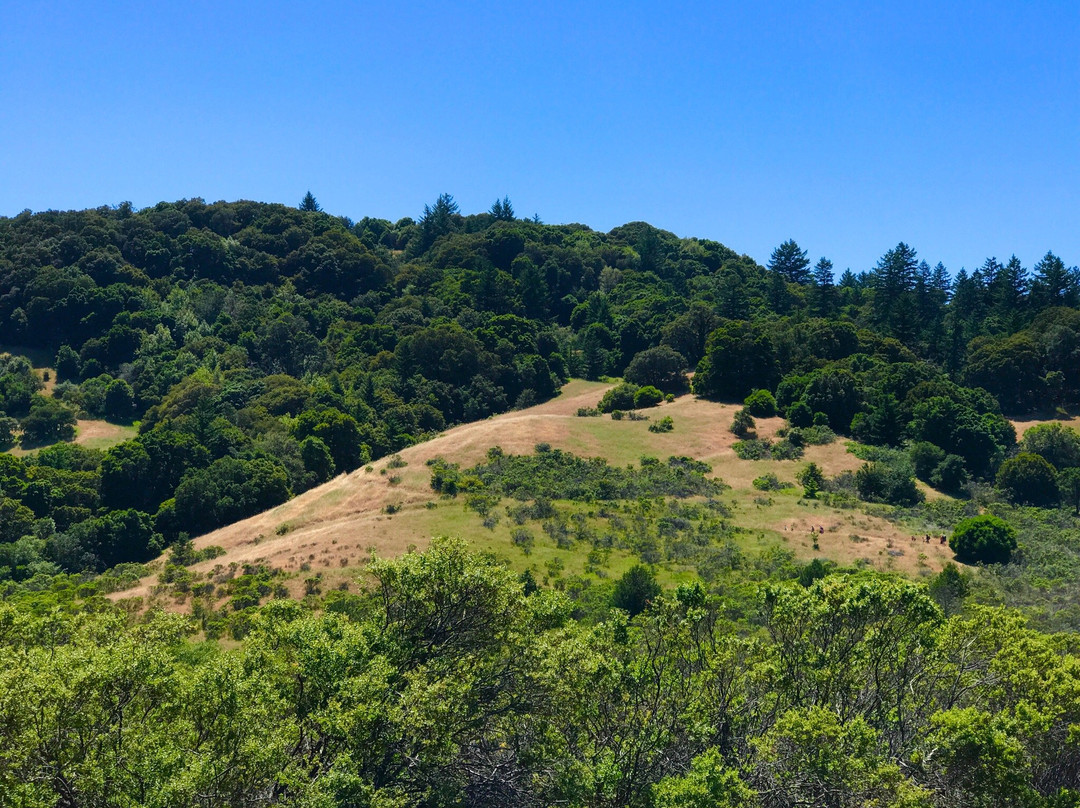 Horseshoe Lake-圣马特奥必去景点