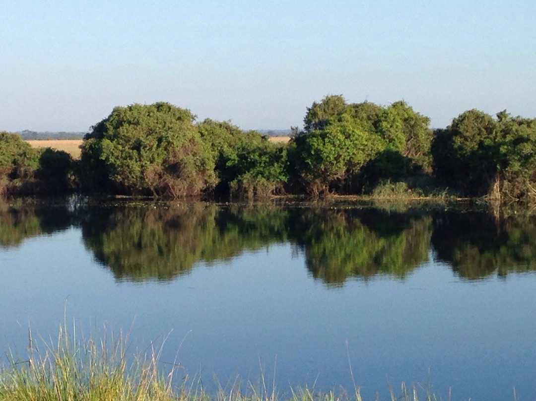 Chimfunshi Wildlife Orphanage-Chingola必去景点