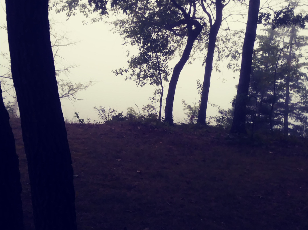 Alcona Park景点图片
