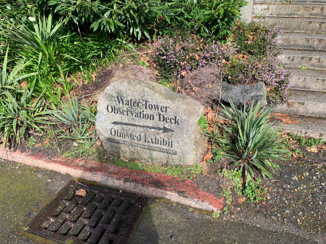 Water tower Observation Deck-西雅图必去景点