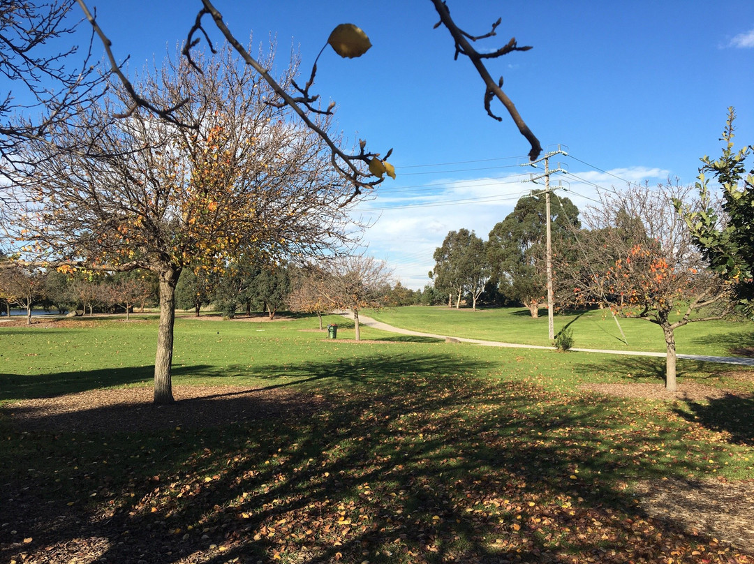 Jack Roper Reserve Adventure Playground景点图片