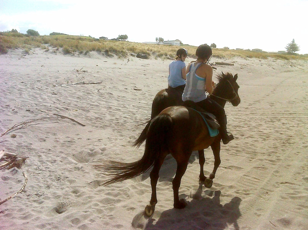 Nikau Valley Horse Treks景点图片