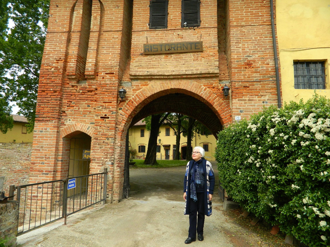 Castello Gallarati Scotti景点图片