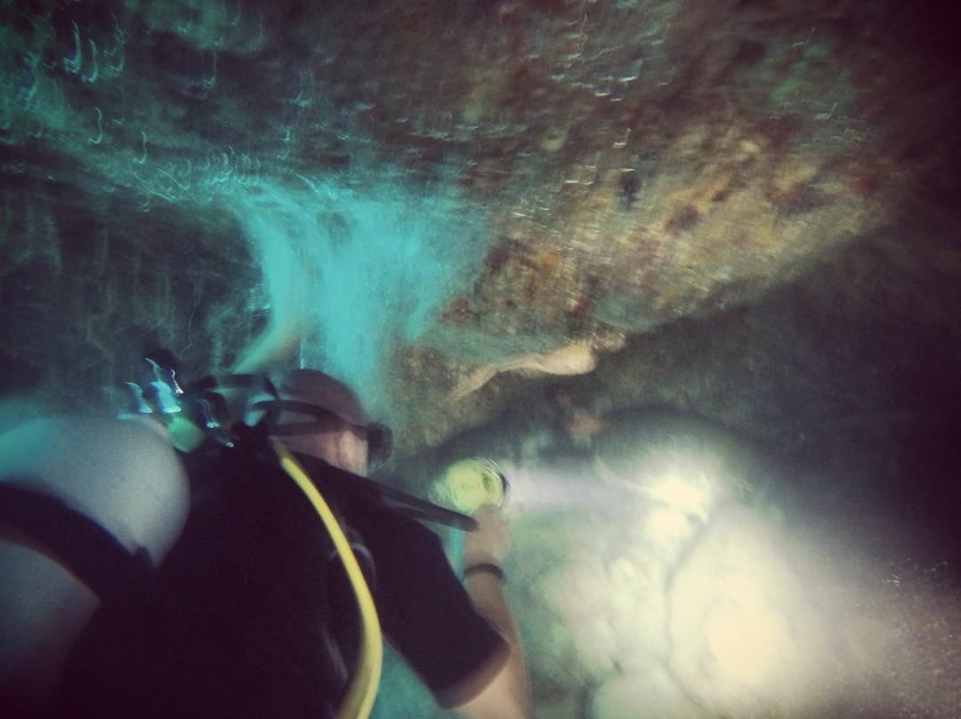 Five Star Scuba Wailea-基黑必去景点
