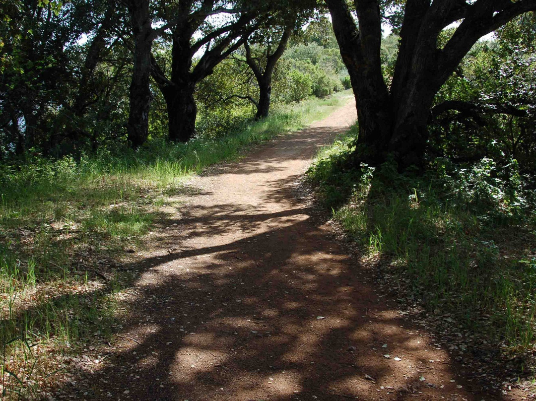 Rancho San Antonio Open Space Preserve-Los Altos Hills必去景点