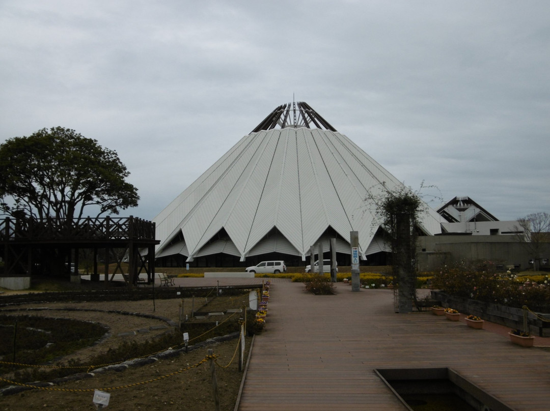 Izumi City Crane Museum, Crane Park Izumi-出水市必去景点