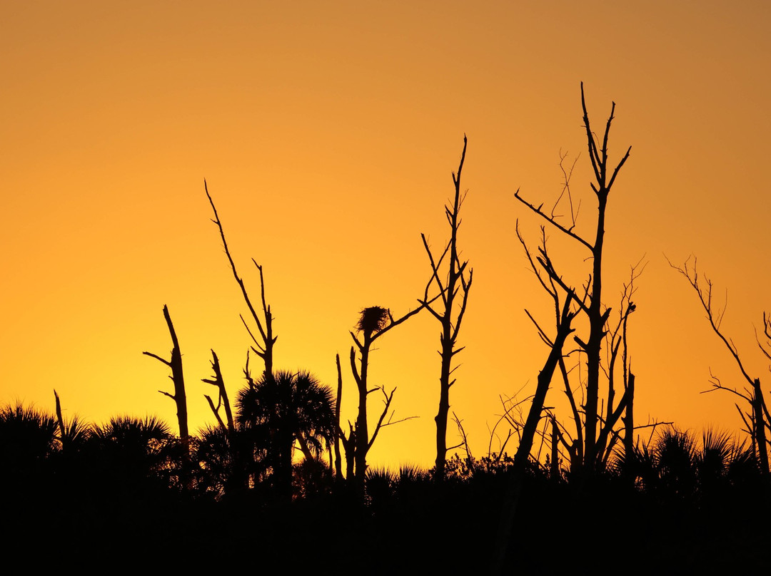 Beach Road Watersports-恩格尔伍德必去景点