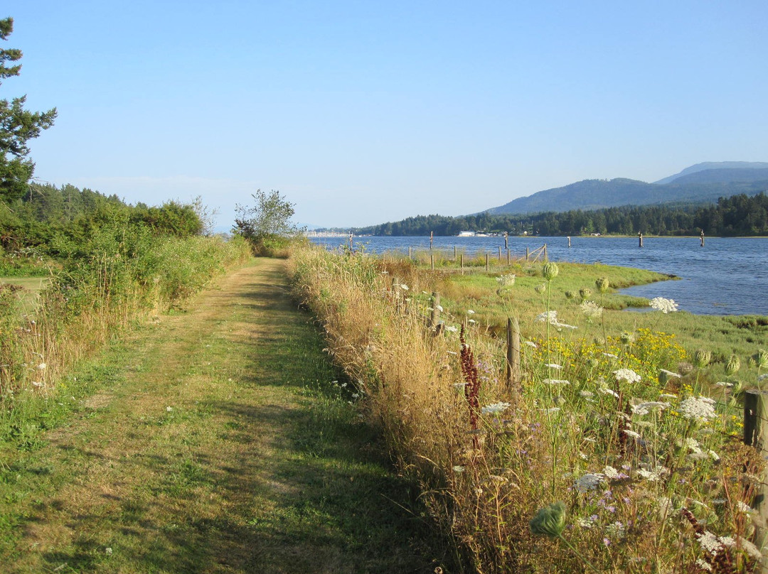 Cowichan Valley Regional District酒店住宿-Kiwi Cove Lodge