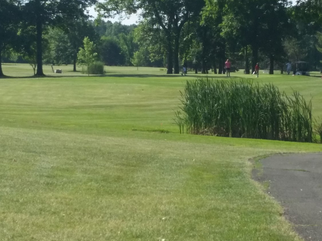 Springbrook Golf Club景点图片