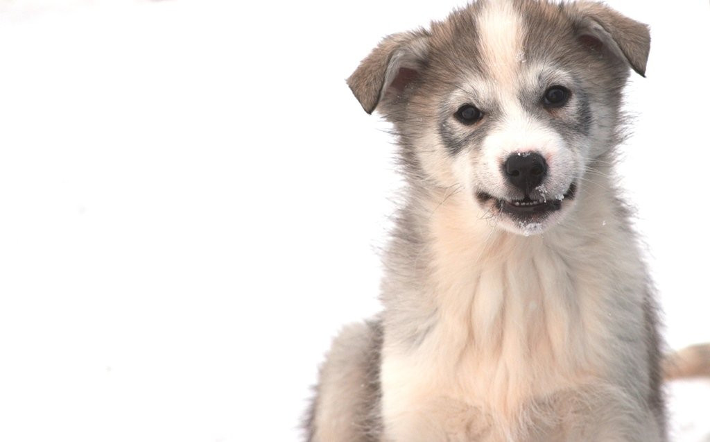 Trapper's Station-朗伊尔城必去景点