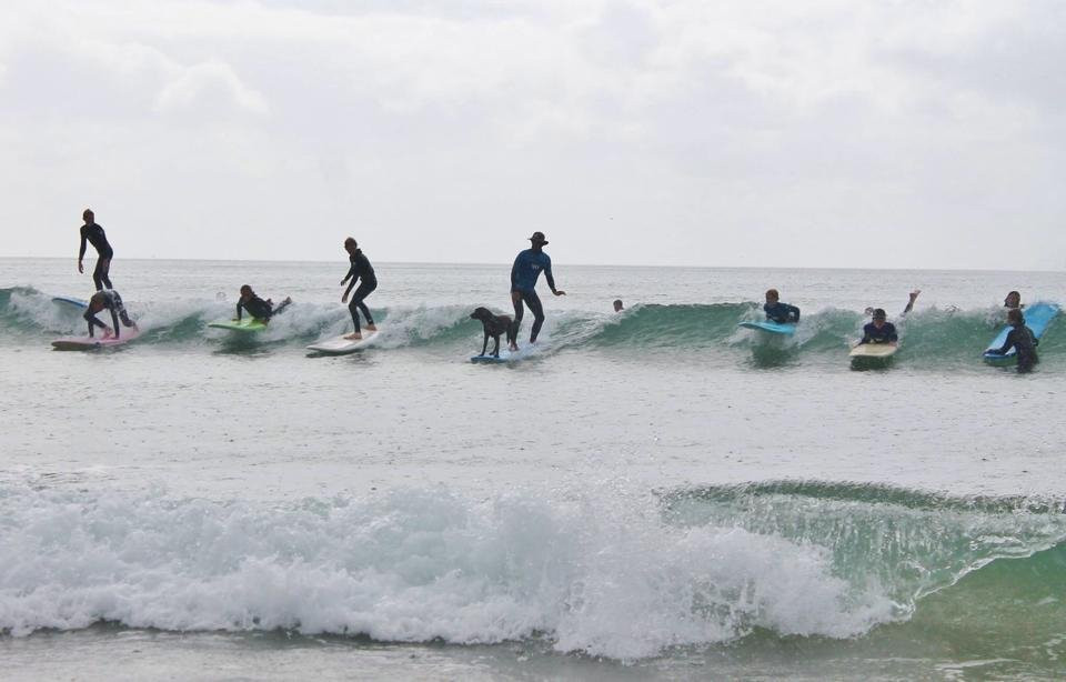 Tutukaka Surf Experience景点图片