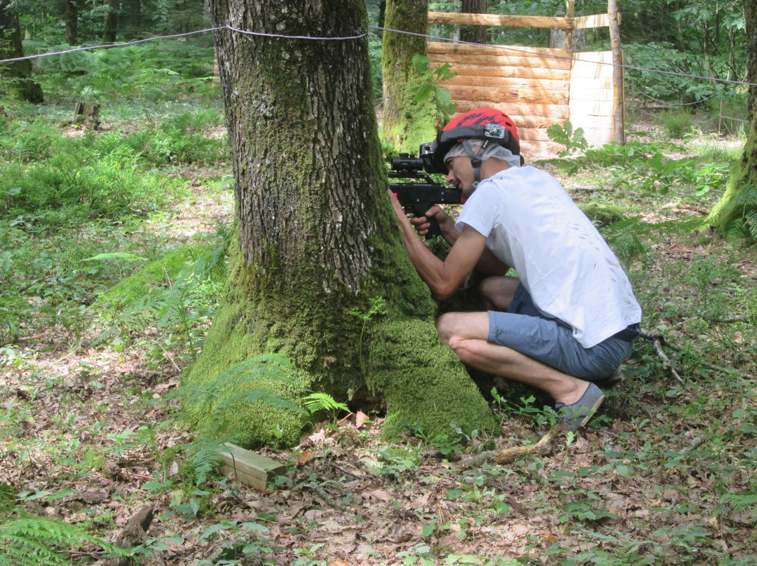 Les Tyroliennes de la Foret景点图片