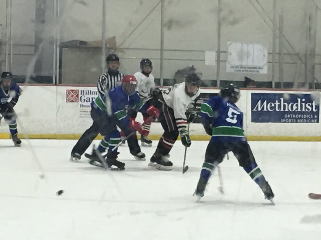 Aerodrome Ice Skating Complex-休斯顿必去景点