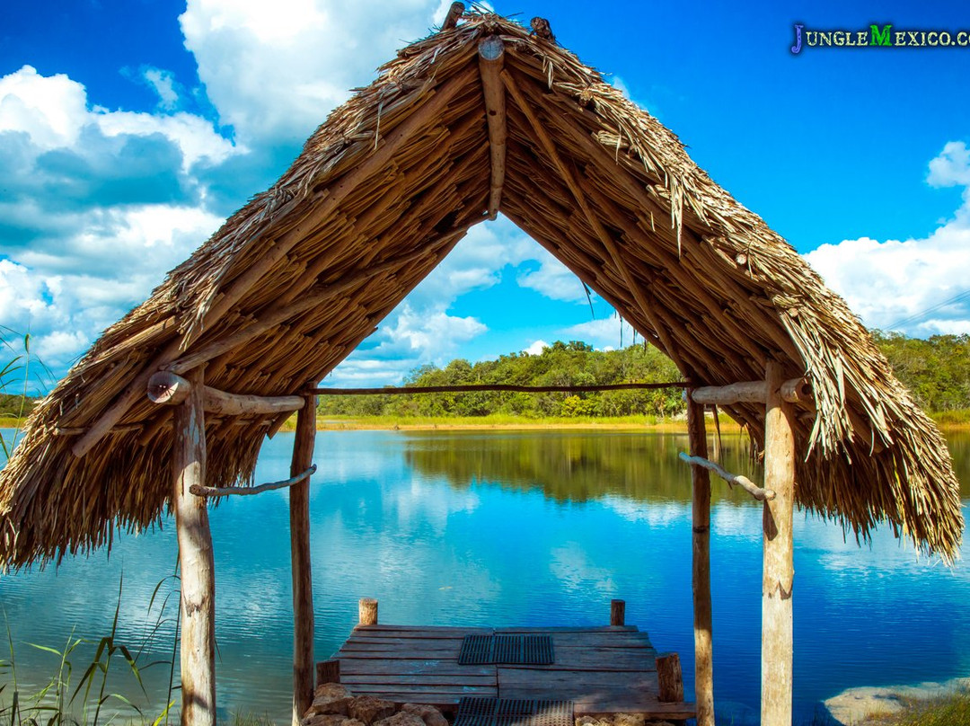 VIP Jungle Tours-阿范特拉斯港必去景点