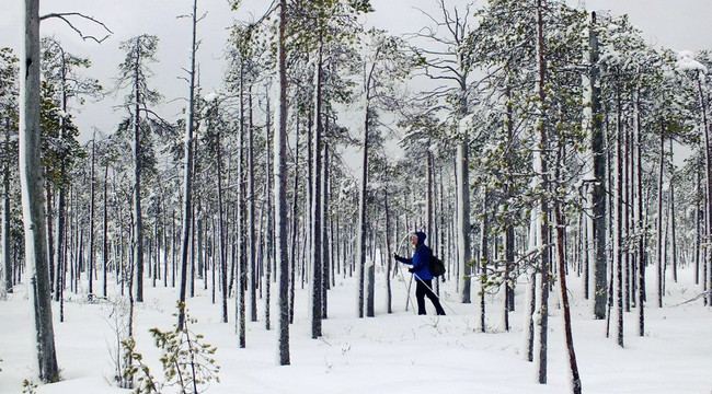 OS Retkipalvelut-奥卢必去景点
