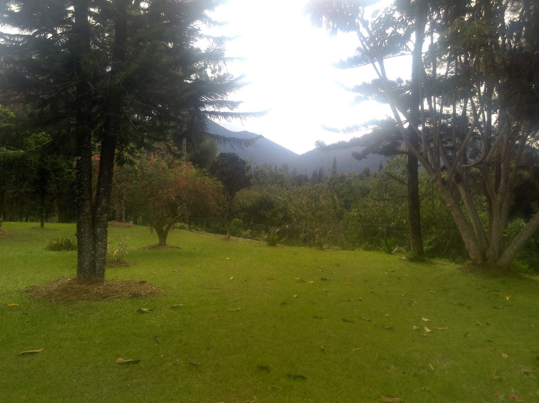 Berlian Resort主图